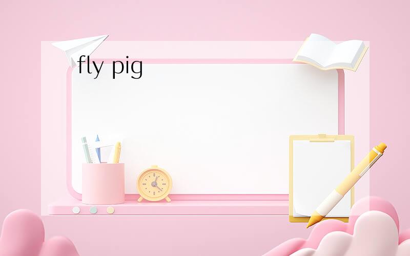 fly pig