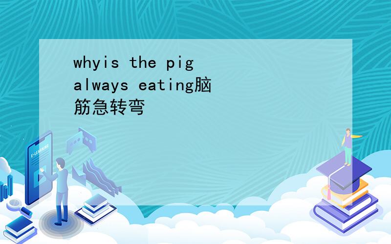 whyis the pig always eating脑筋急转弯