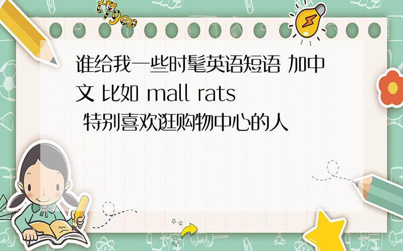 谁给我一些时髦英语短语 加中文 比如 mall rats 特别喜欢逛购物中心的人