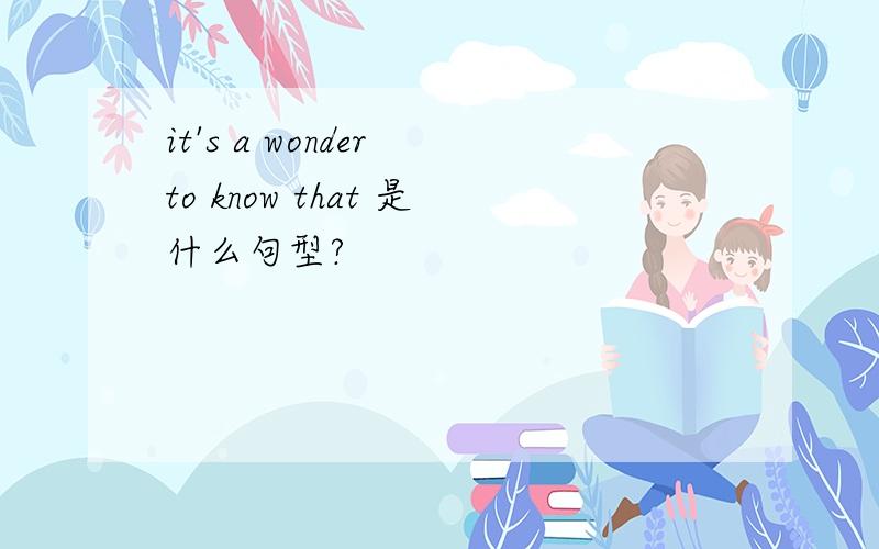 it's a wonder to know that 是什么句型?
