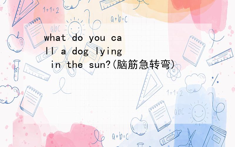 what do you call a dog lying in the sun?(脑筋急转弯)