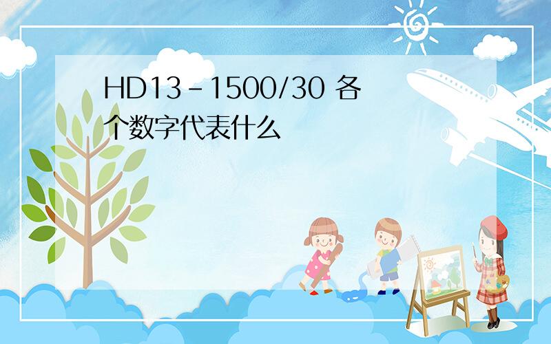 HD13-1500/30 各个数字代表什么