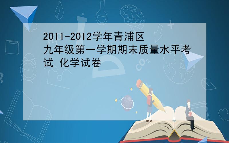 2011-2012学年青浦区九年级第一学期期末质量水平考试 化学试卷