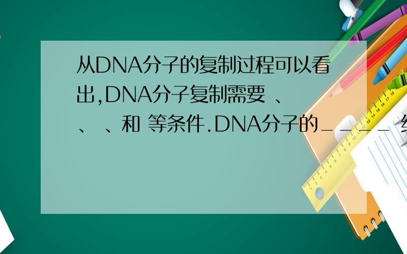 从DNA分子的复制过程可以看出,DNA分子复制需要 、 、 、和 等条件.DNA分子的____ 结构能够为复制DNA提供