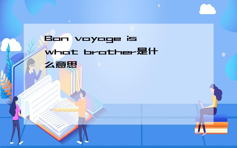 Bon voyage is what brother是什么意思