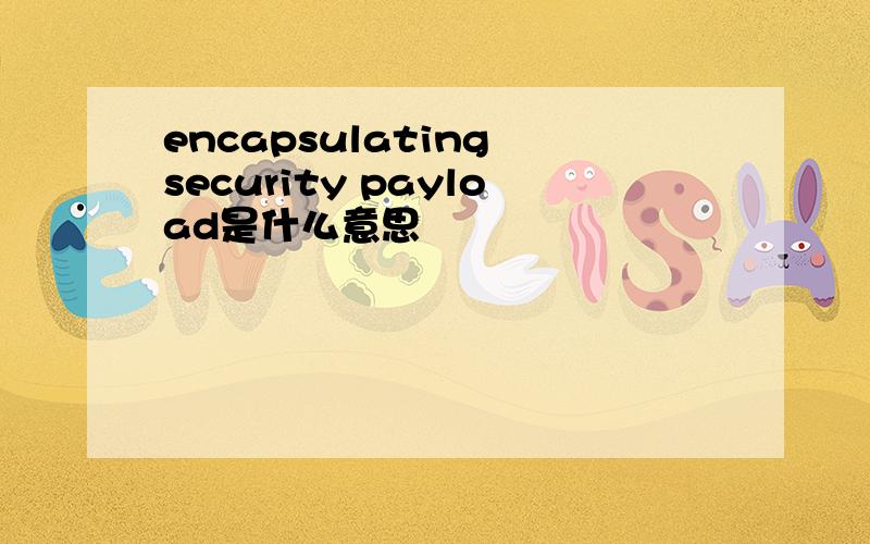 encapsulating security payload是什么意思